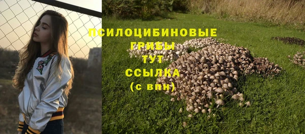 прущий лед Михайловка