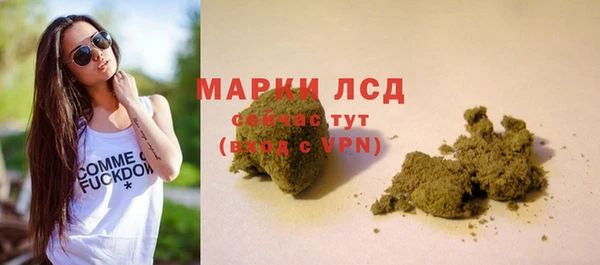 индика Михайлов