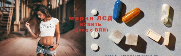 индика Михайлов