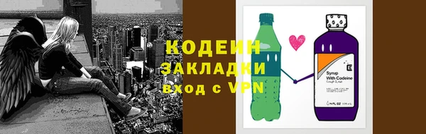 индика Михайлов