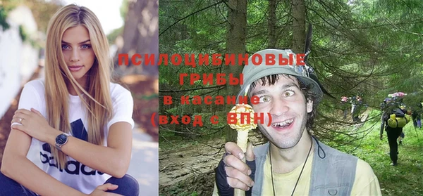 индика Михайлов