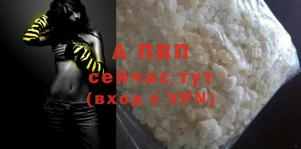 индика Михайлов