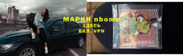 индика Михайлов