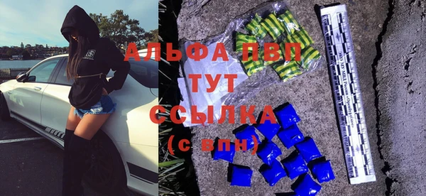 индика Михайлов