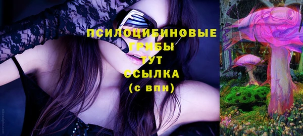 прущий лед Михайловка