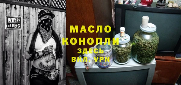 индика Михайлов