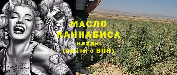 индика Михайлов