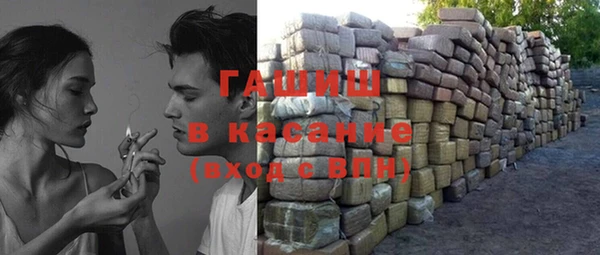 индика Михайлов