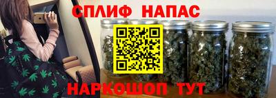 тгк Ставрополь
