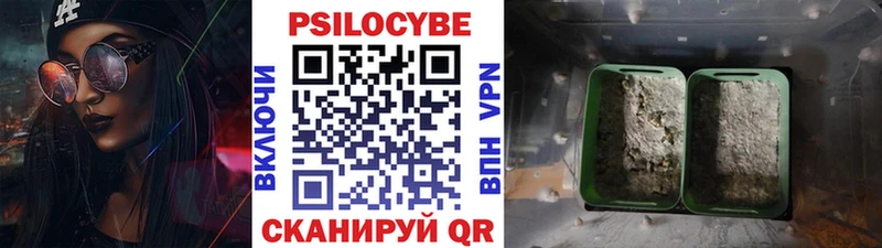 hydra ONION  купить наркотик  Рузаевка  Галлюциногенные грибы прущие грибы 